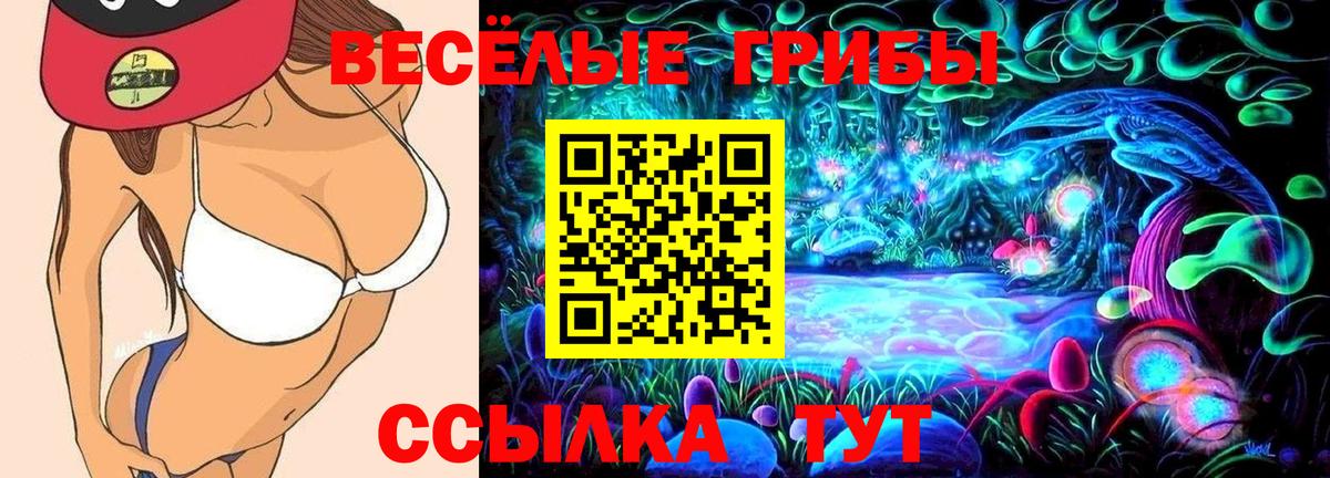 Псилоцибиновые грибы мухоморы Гулькевичи