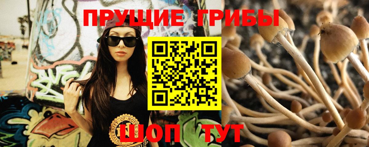 Гулькевичи  Псилоцибиновые грибы мицелий  Вход с VPN 